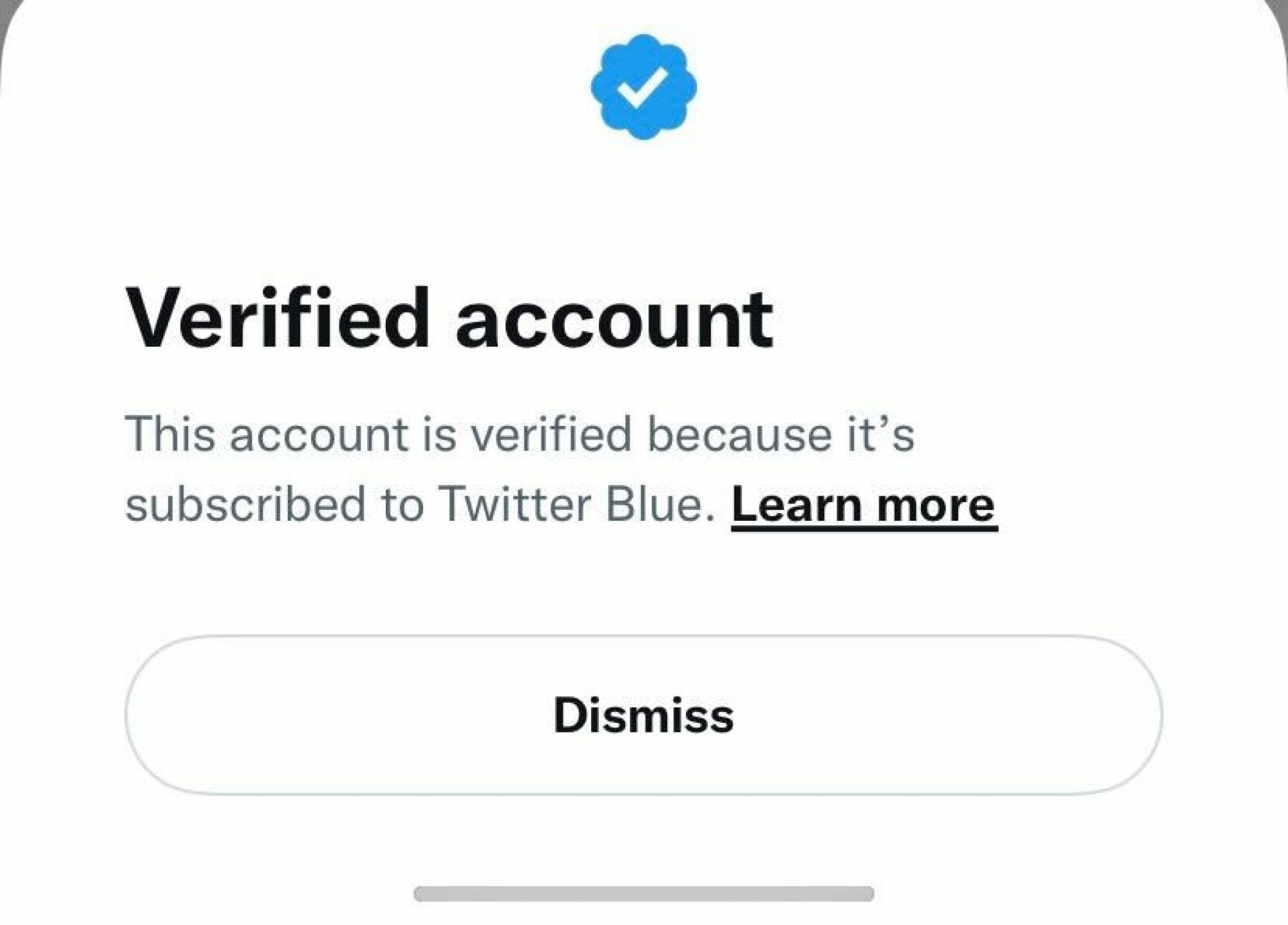 A paying verified Twitter user