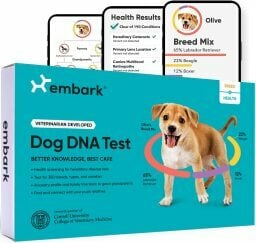 Embark Dog DNA Test Kit