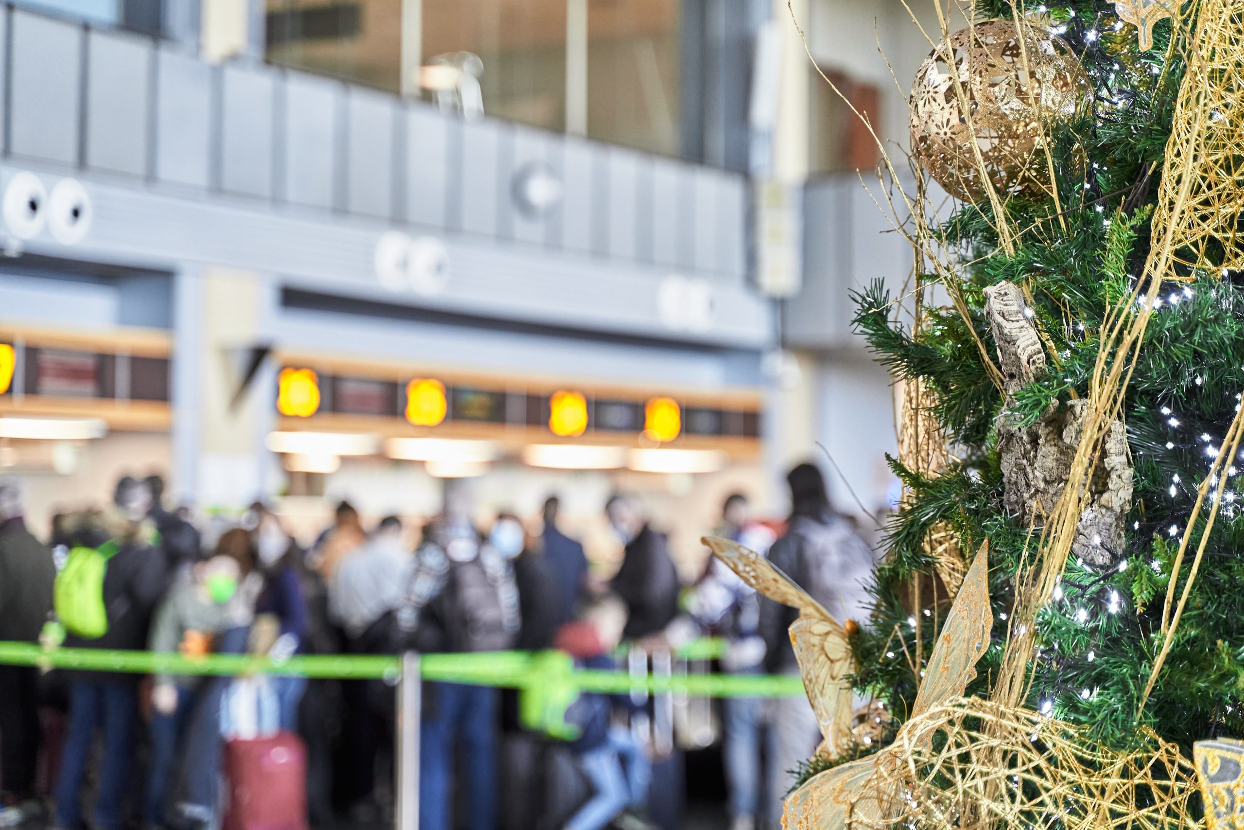 A Christmas tree in the foreground, and in the background, all the hassles of a busy airport