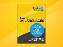 rosetta stone with yellow background