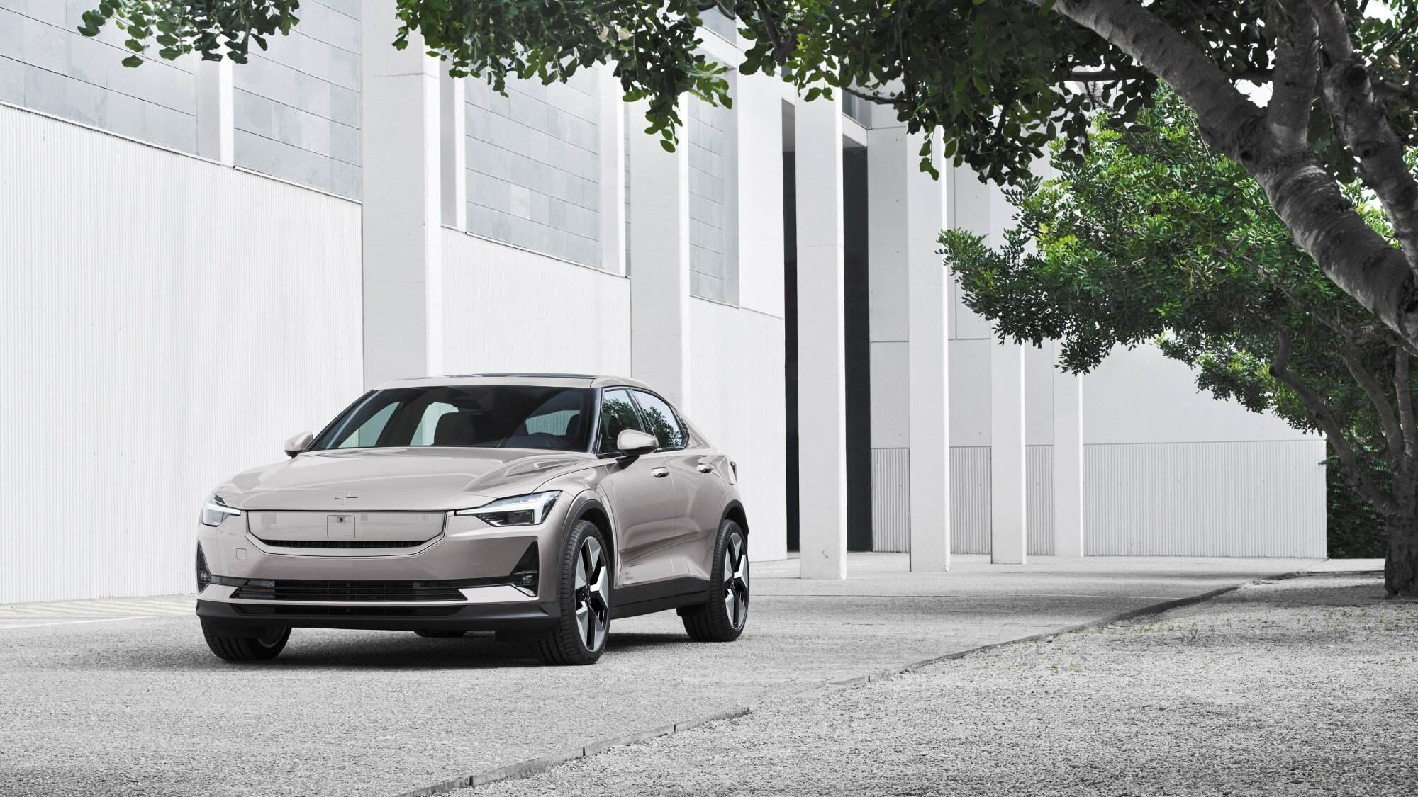 A Polestar 2 parked in a a space with white walls and a tree.