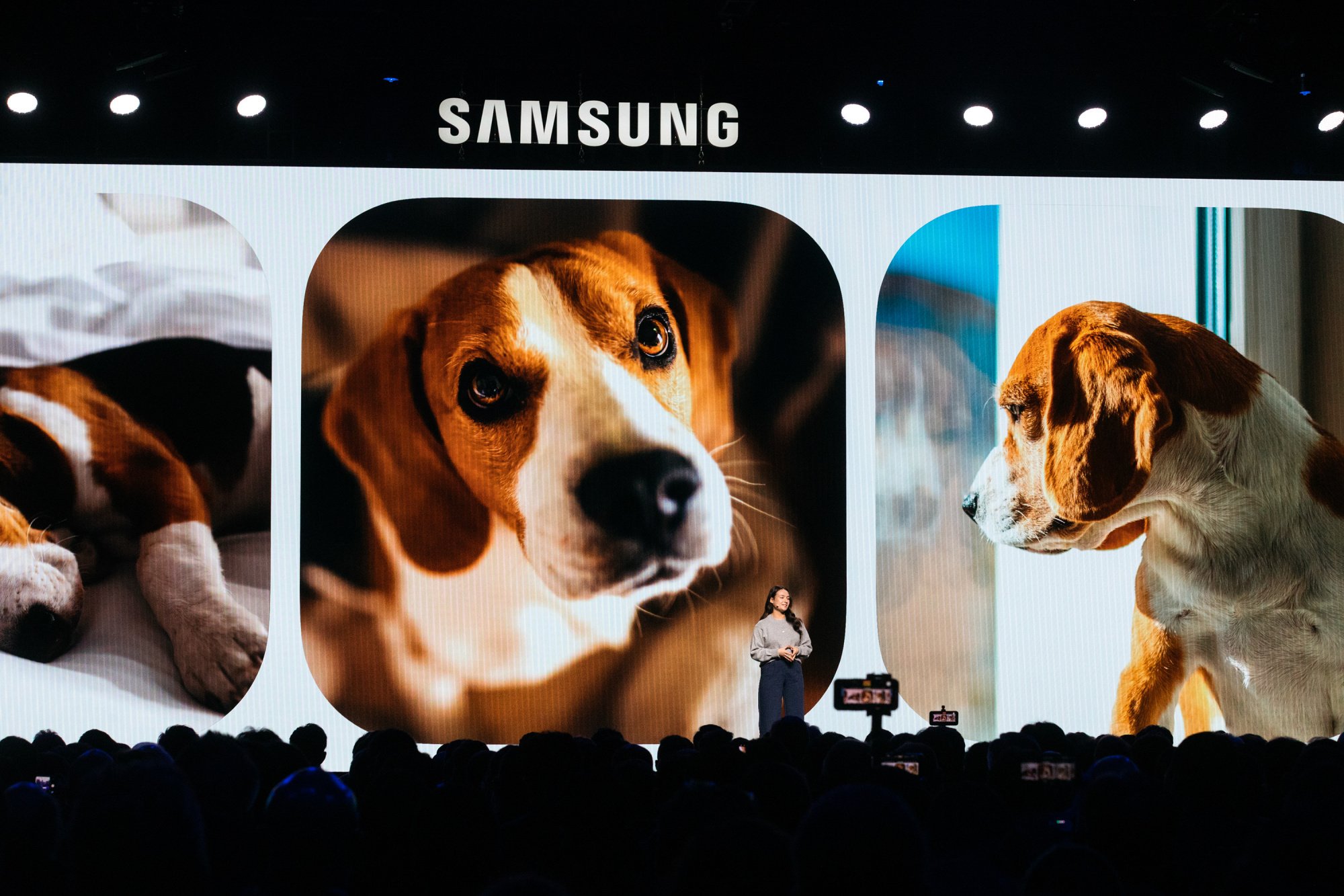 Samsung presentation featuring dog