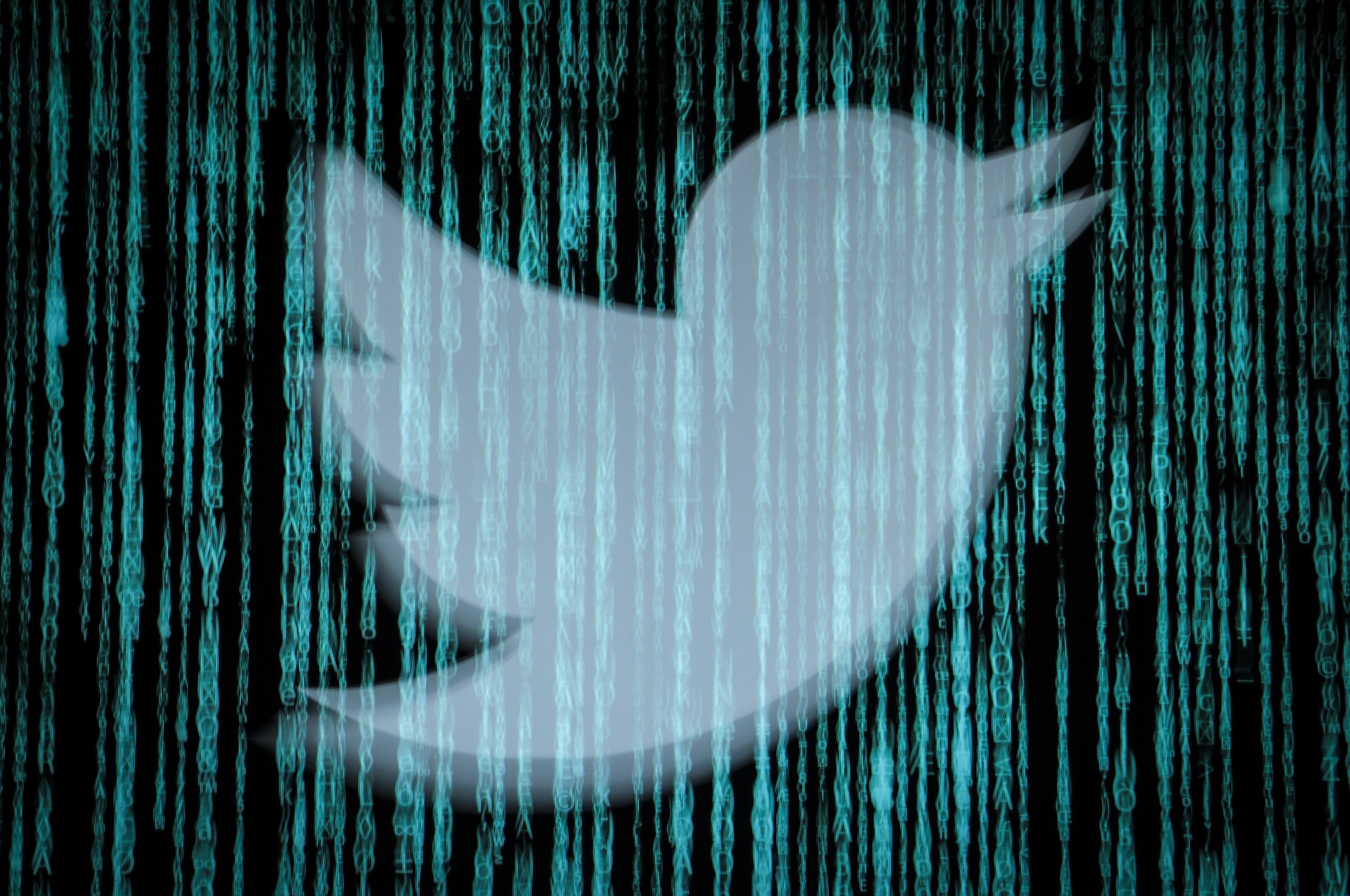 Twitter hackers