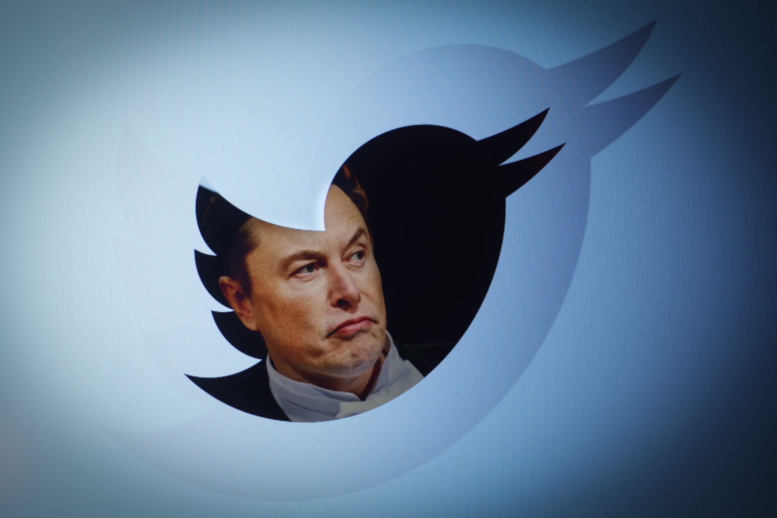 Twitter and Elon Musk