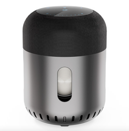 kapsule speaker in gray and black