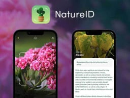 natureid logo with phone showing plant identification