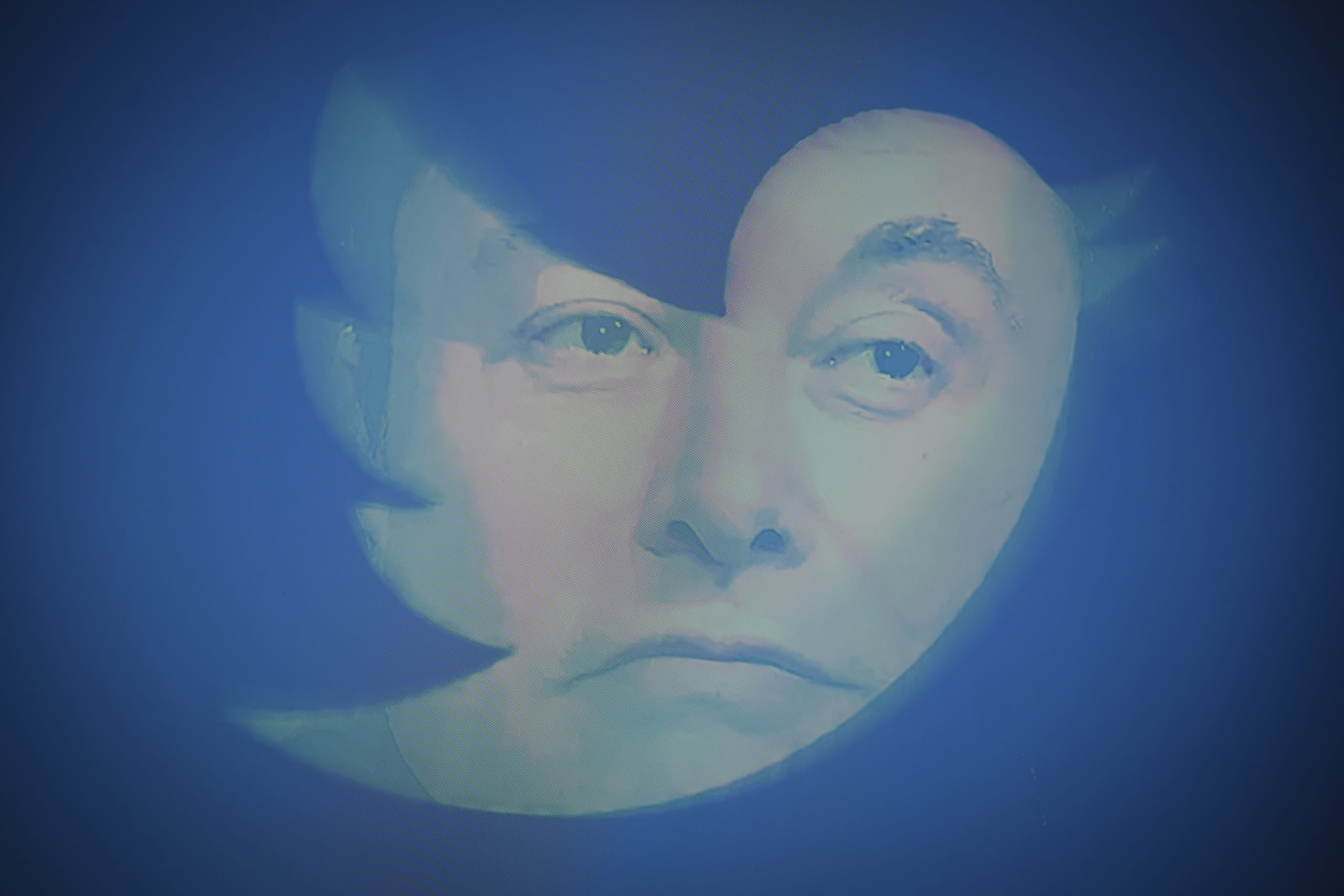 Twitter and Elon Musk