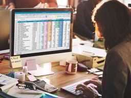 Woman working on a spreadsheet
