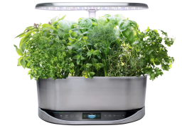 stainless steel indoor garden pot with 9 different plants