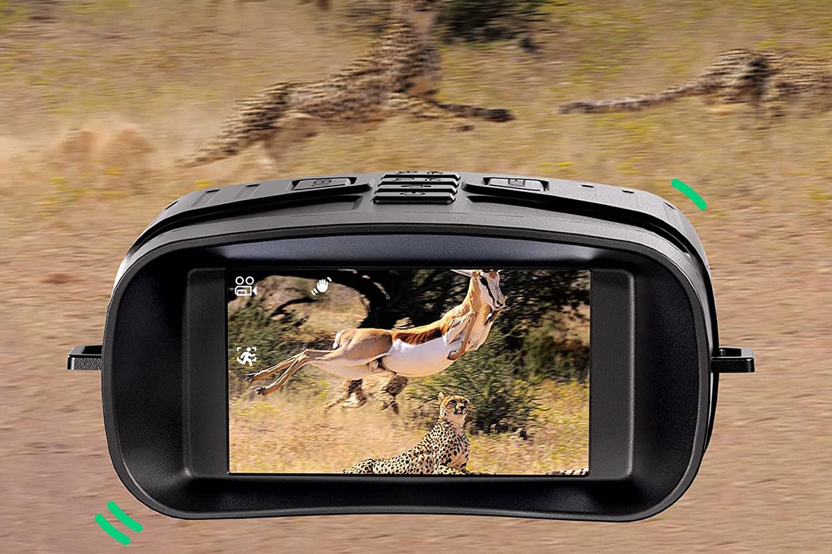 binoculars with screen displaying safari photo