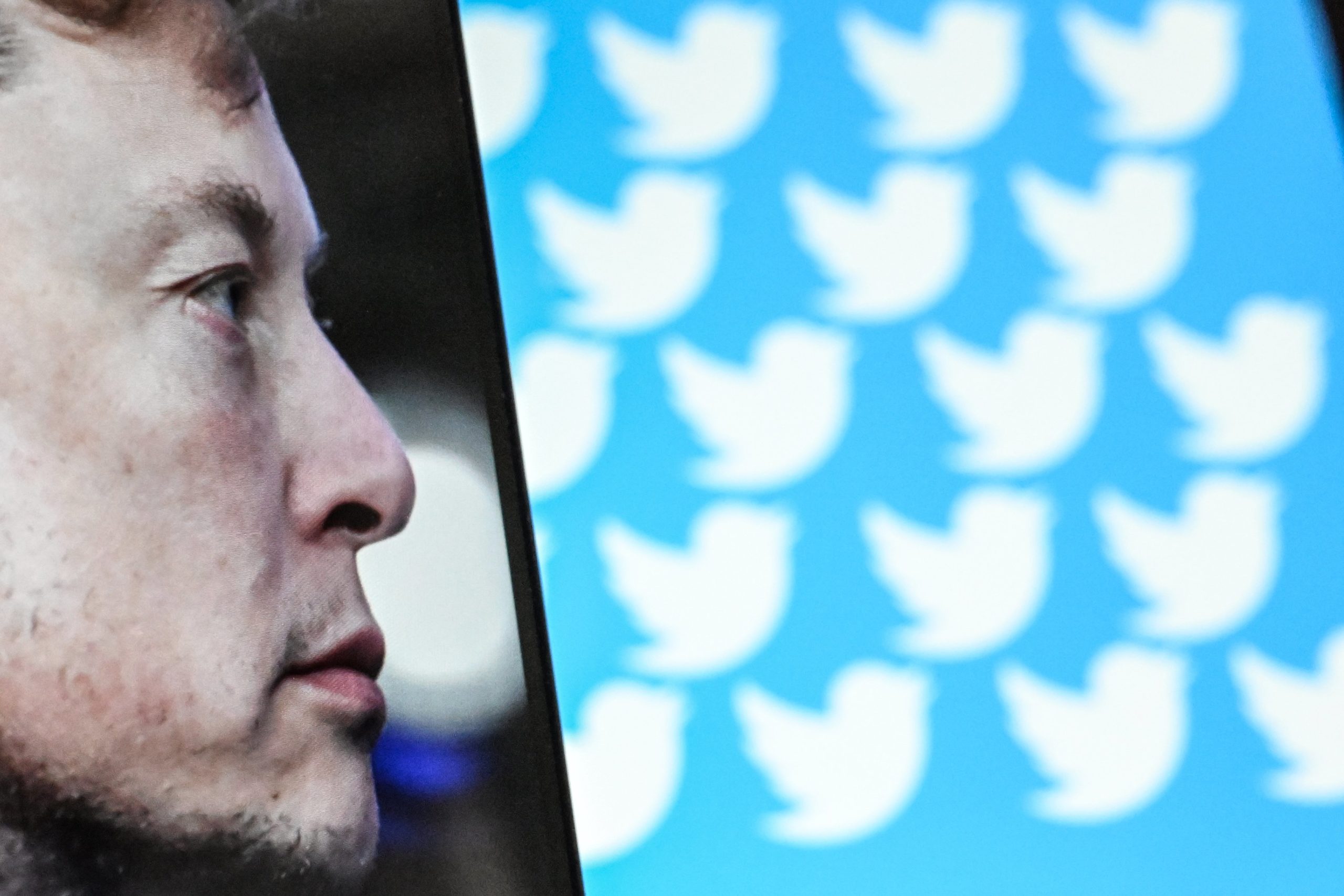 Elon Musk and Twitter