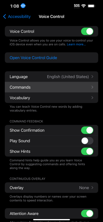 Commands on Voice Control selection