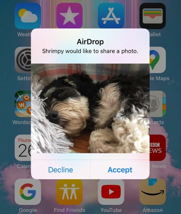 Screenshot of an iPhone displaying AirDrop's "Accept" or "Decline" dialog box. 