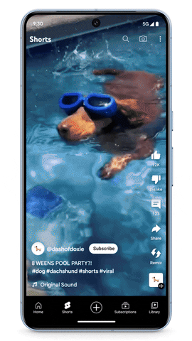 Your browser does not support the mp4 video codec.