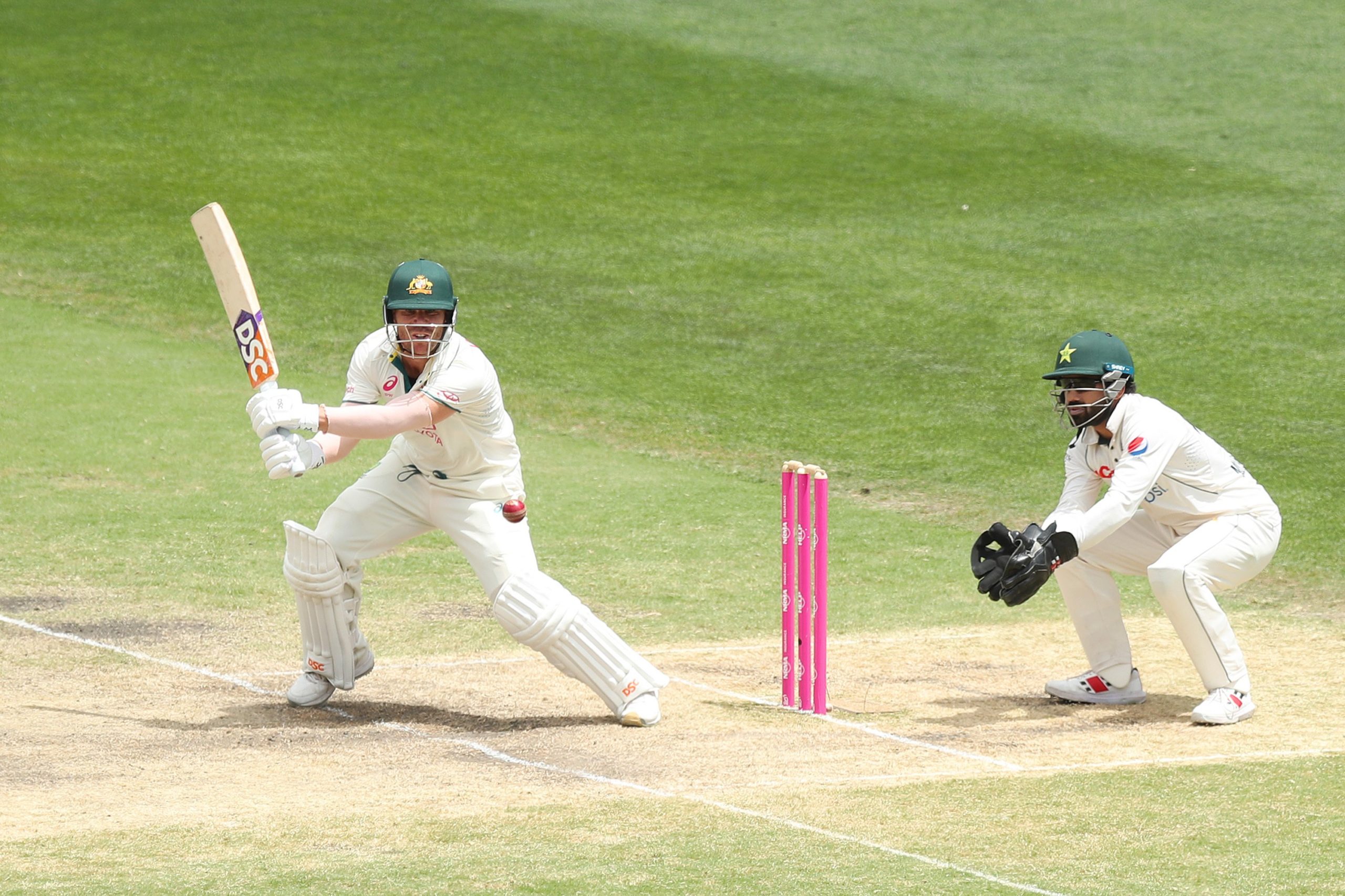 David Warner of Australia bats