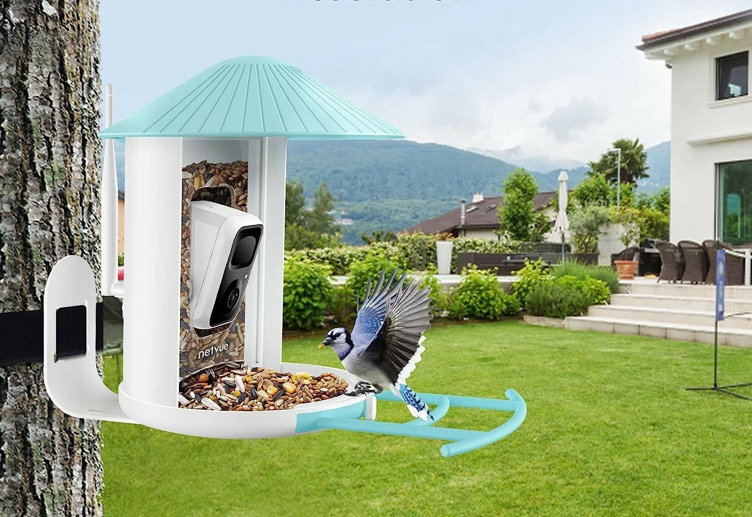 a bird visits the birdfy feeder against a tree