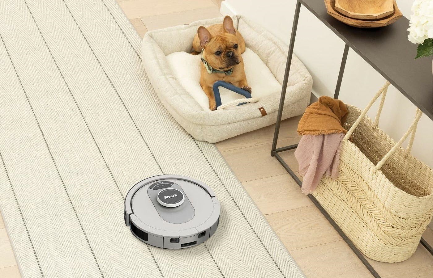 a shark AI ultra robot vacuum goes by a small dog in a bed
