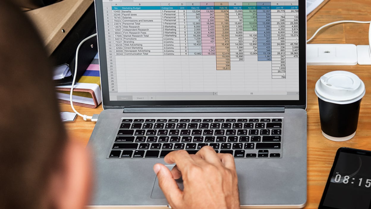 Spreadsheet on laptop
