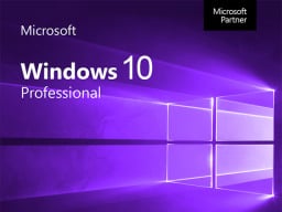 Microsoft Windows 10 logo