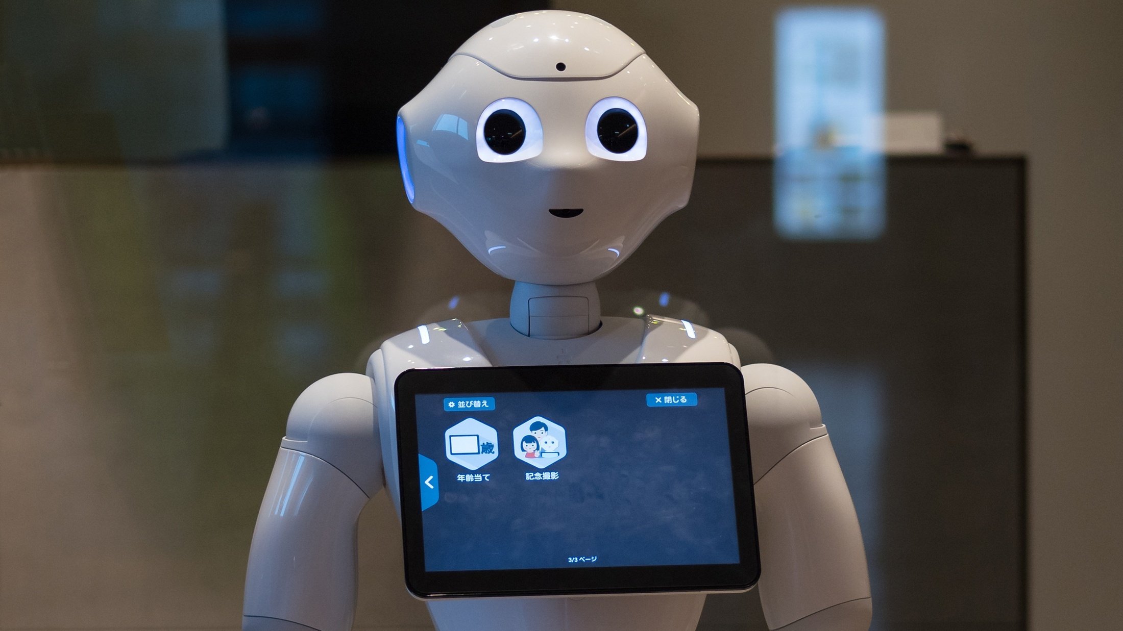 Humanoid robot with a built-in display