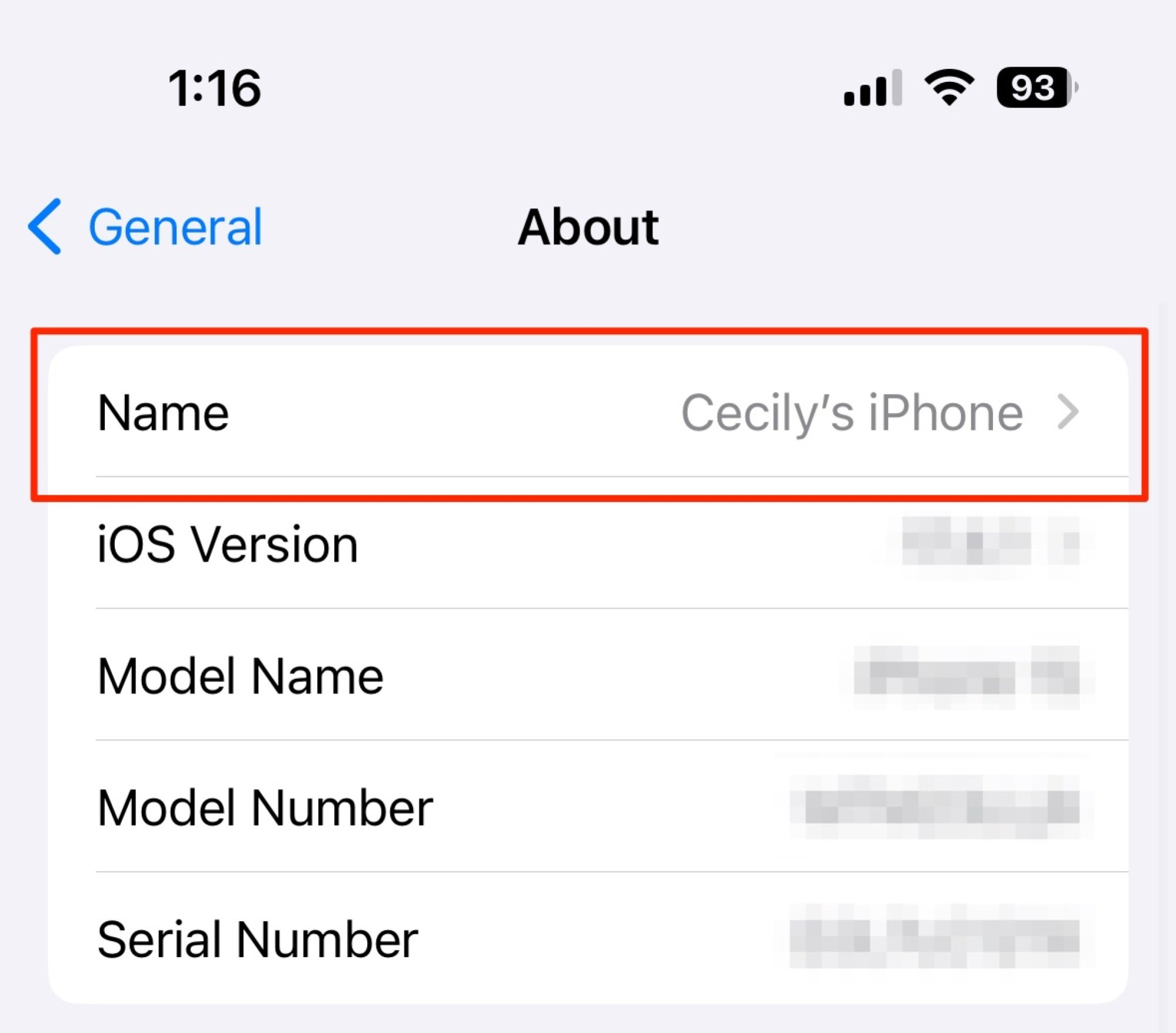 Name section highlight in the About section of iPhone Settings