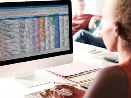 Person using Excel