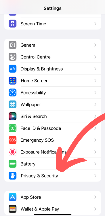 A screenshot showing the Privacy and Security section in iPhone settings.