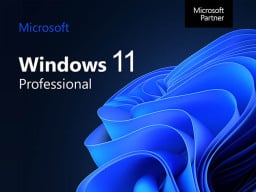 Windows 11 Pro logo.