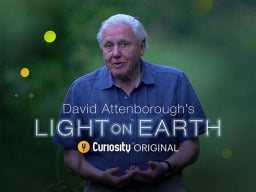 Image from Light on Earth show.