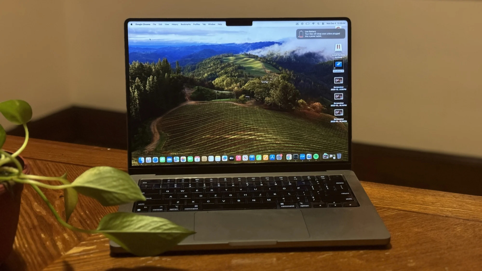 A MacBook Pro laptop on a desk with a plant