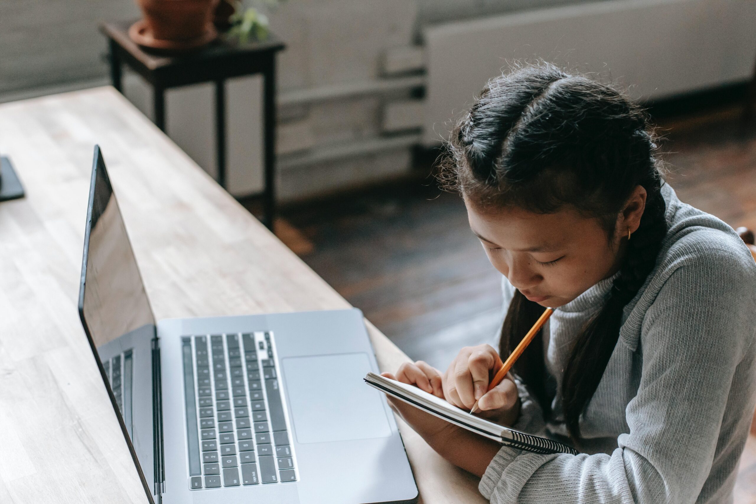 girl with braided pigtails sitting at computer