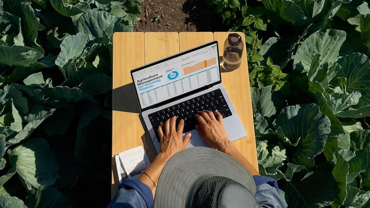 Person using the MacBook Pro (M4)
