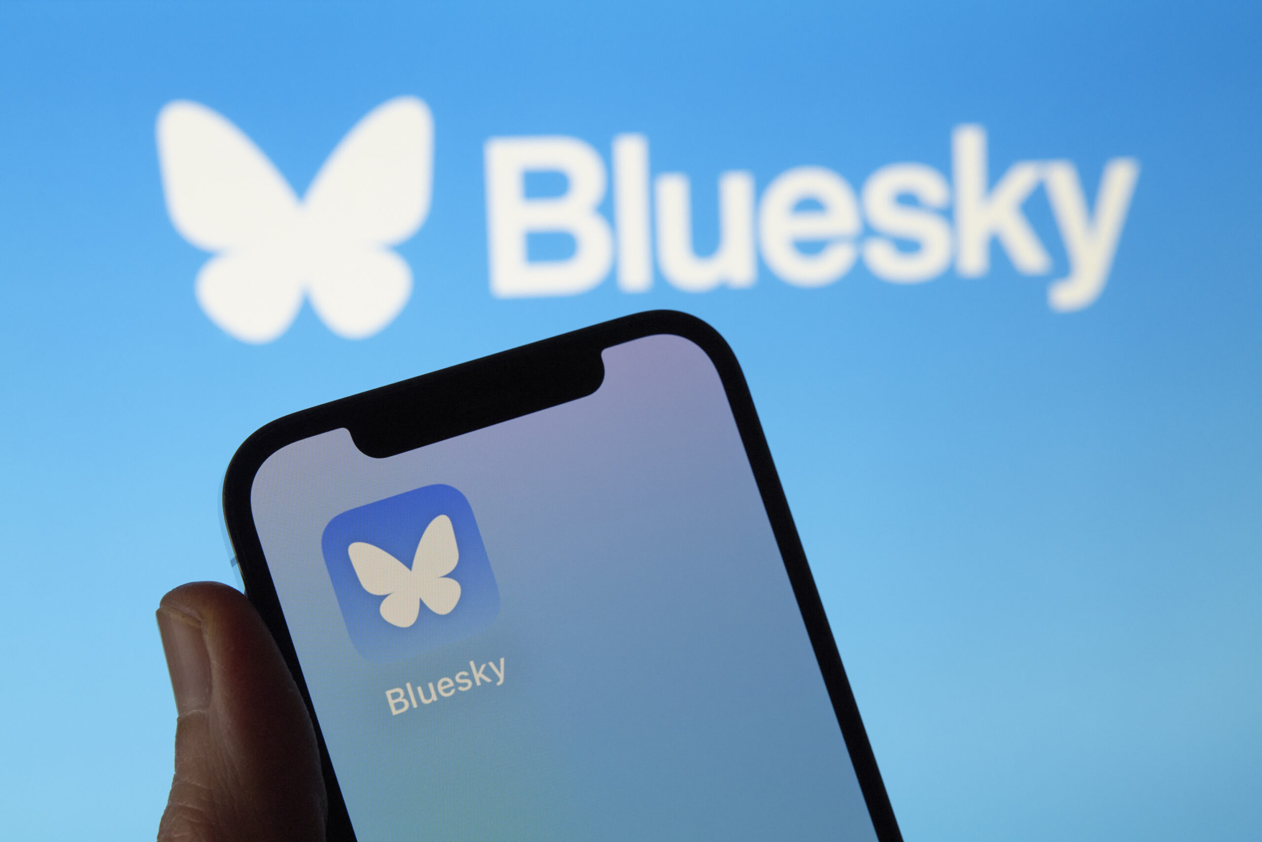 The image shows the icon of Bluesky