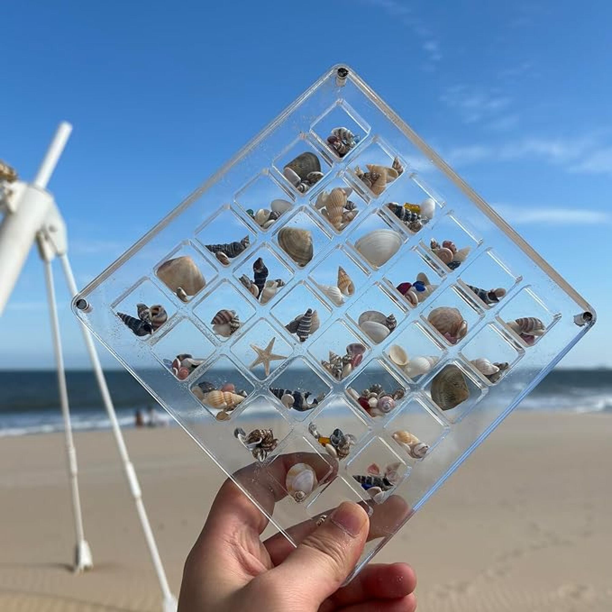 hand holding acrylic shell display