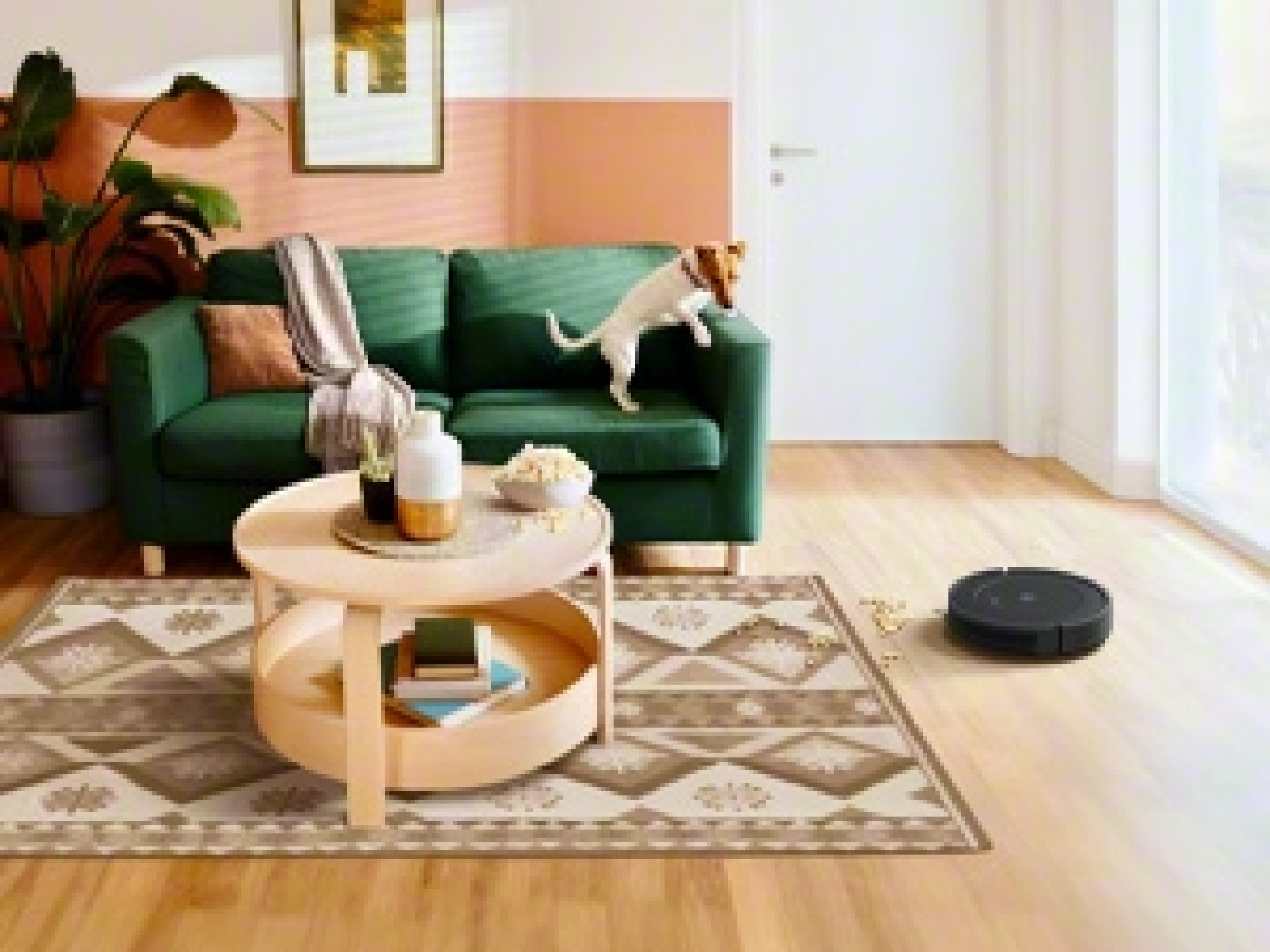 dog and roomba