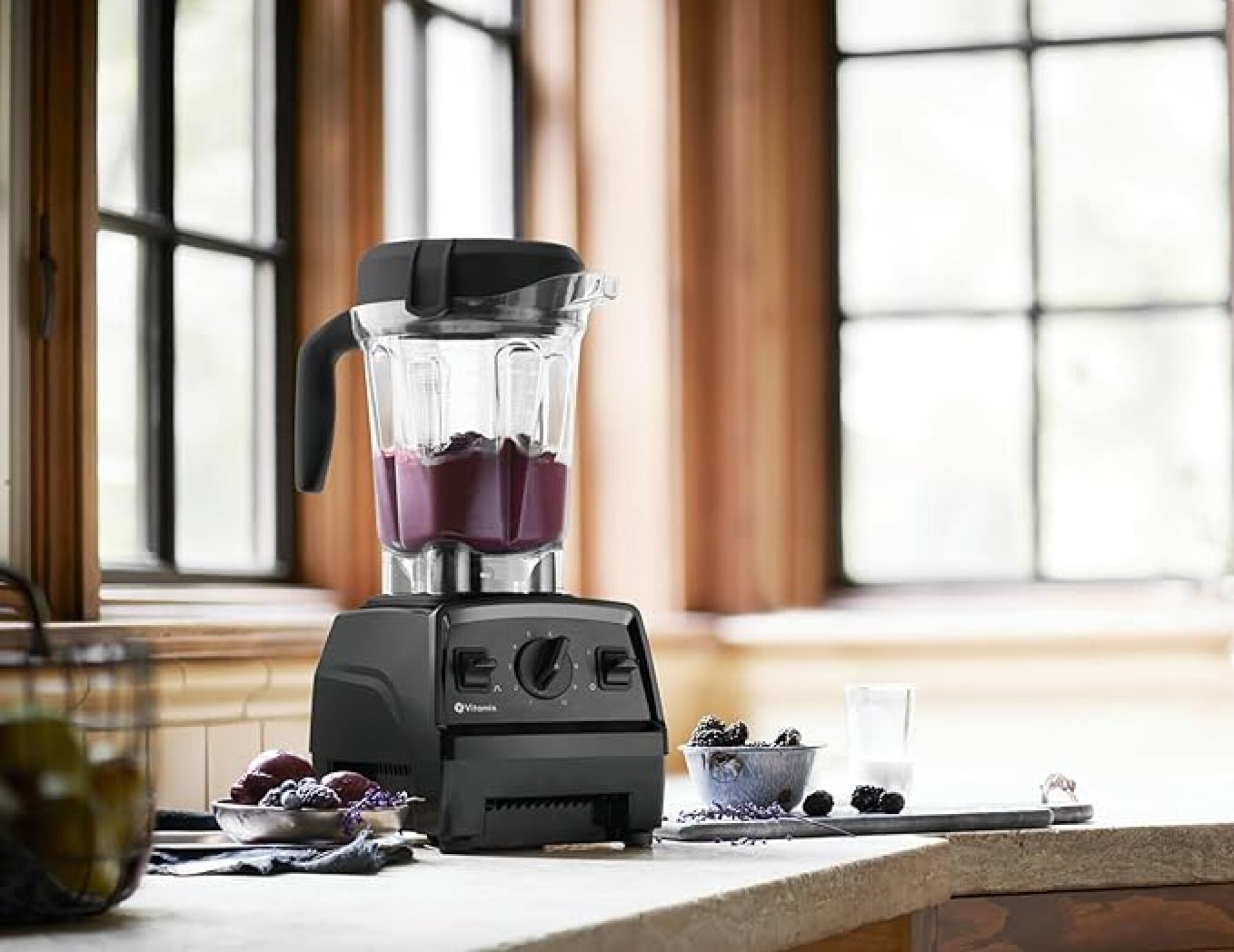 vitamix explorian blender