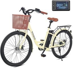 electric bike and odometer