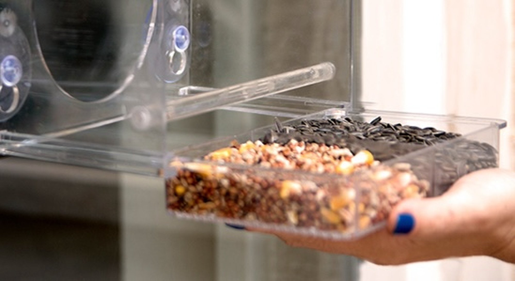 hand opening bird feeder