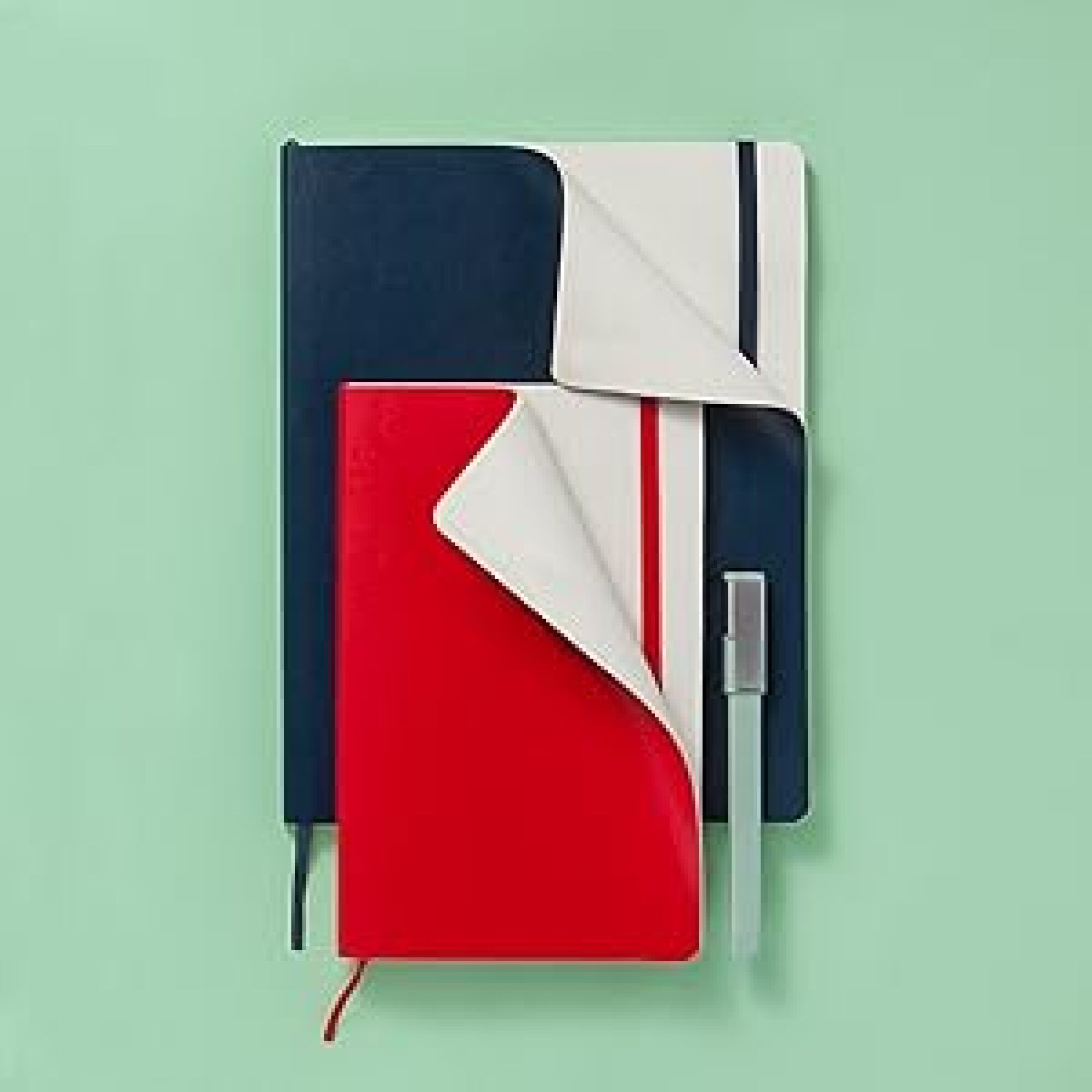 two moleskine notebooks