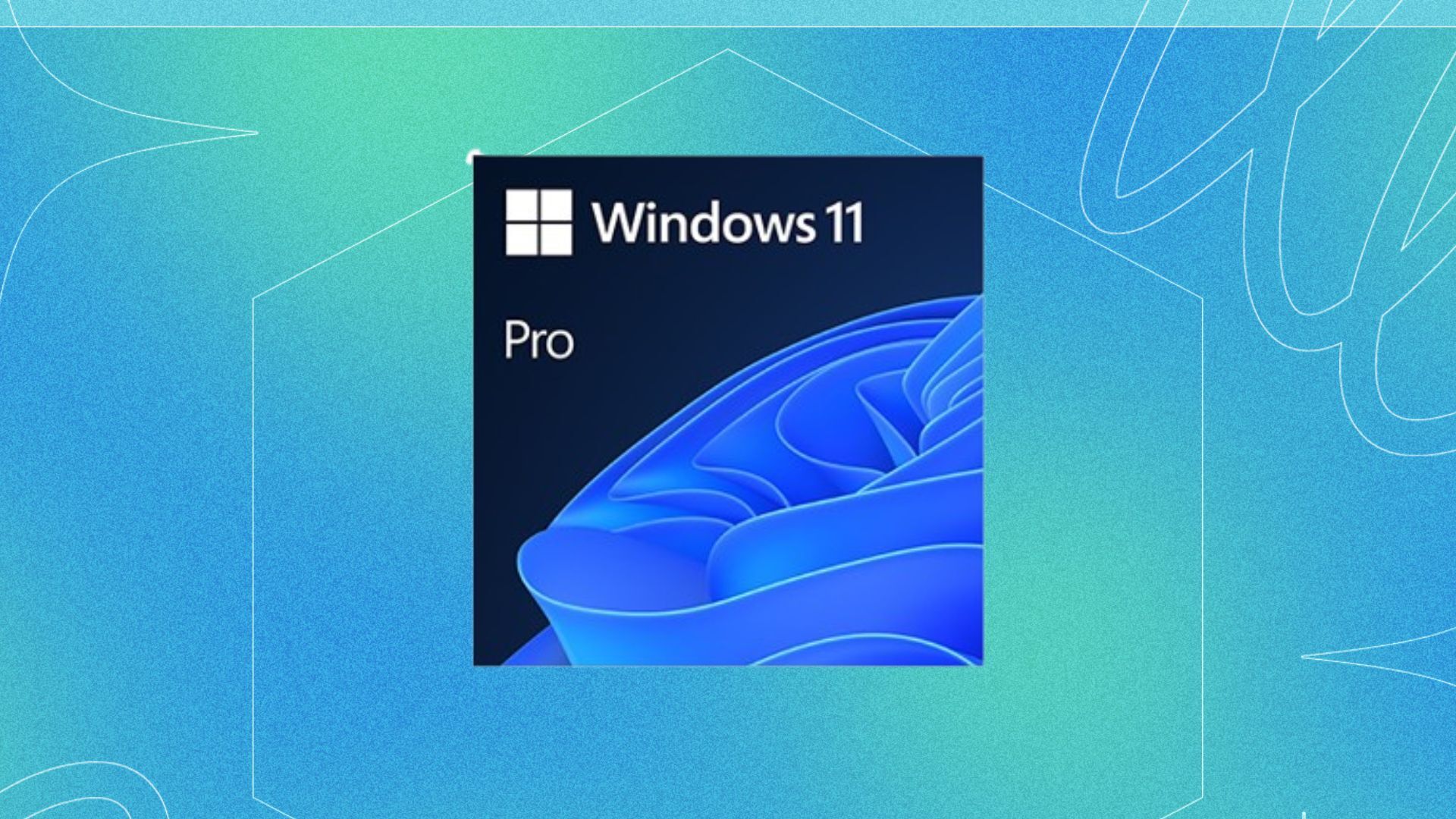 windows 11 pro box on colored background