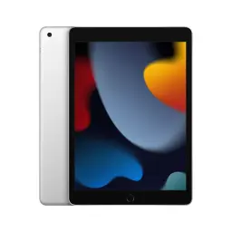 An Apple iPad, 9th generation