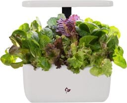 AeroGarden Harvest in white with plants inside