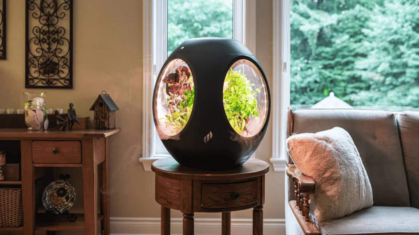 the plantaform on a side table in a living room