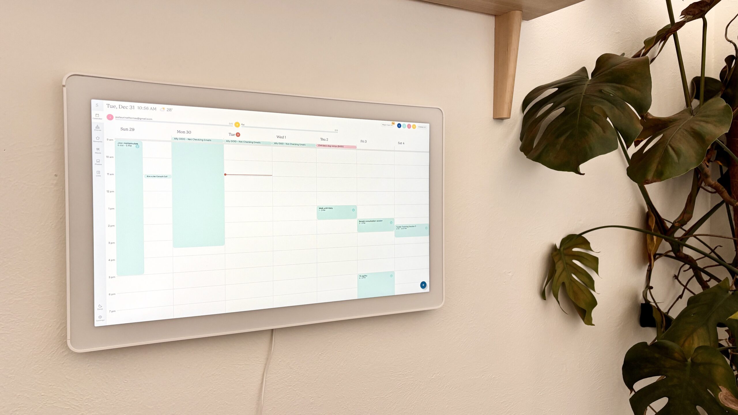 Skylight calendar hung on a white wall next to a plant