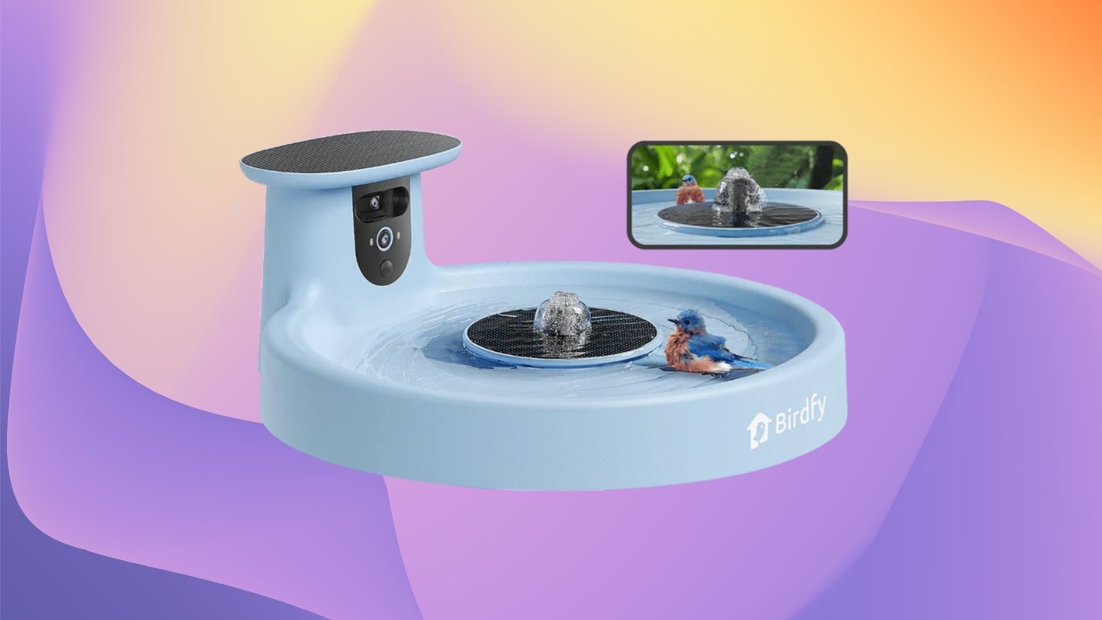 Birdfy Bath Pro on gradient background