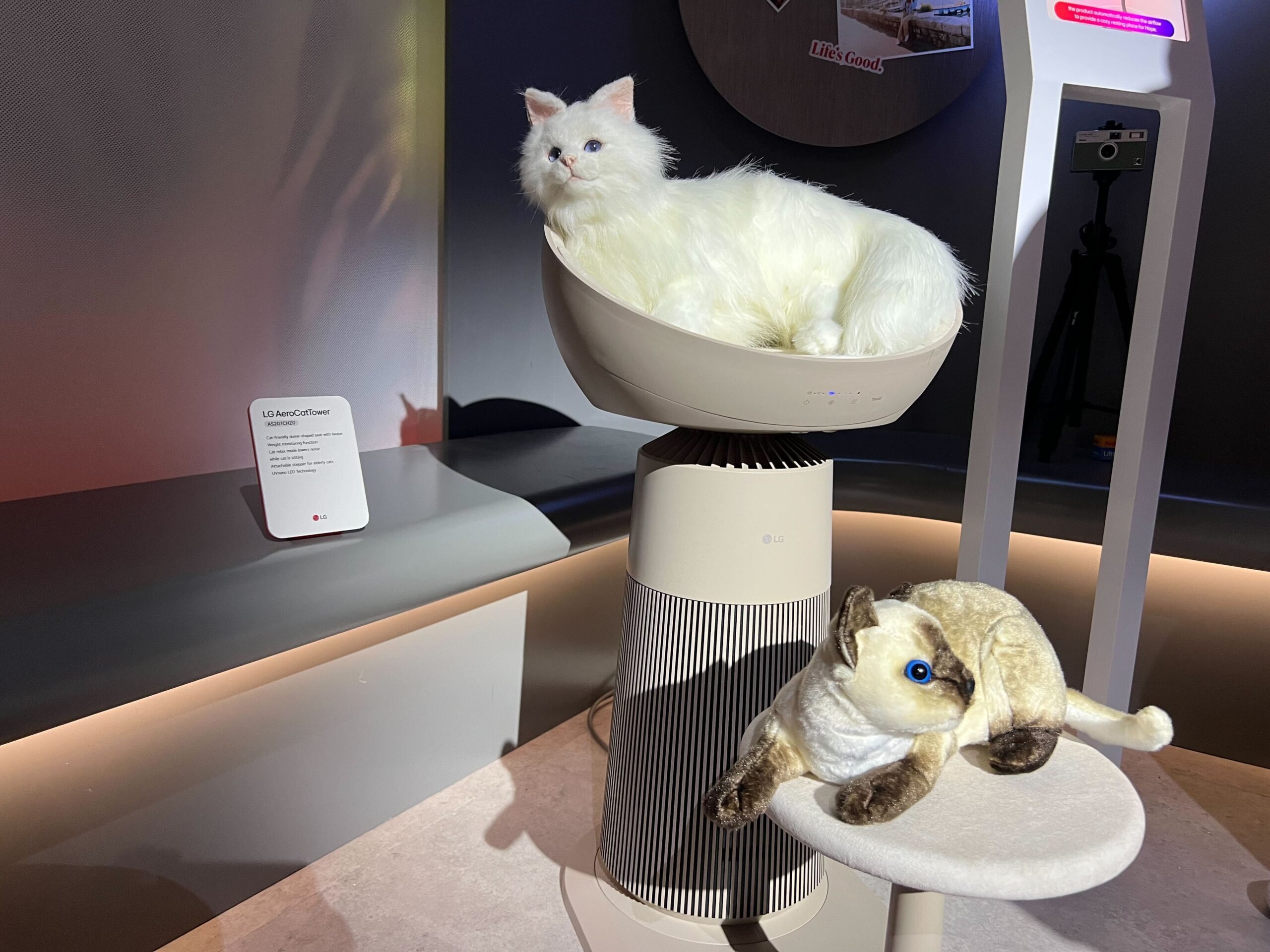 A display featuring the LG AeroCatTower, with a lifelike white cat model resting on the tower's top section and a plush Siamese cat on a smaller platform.