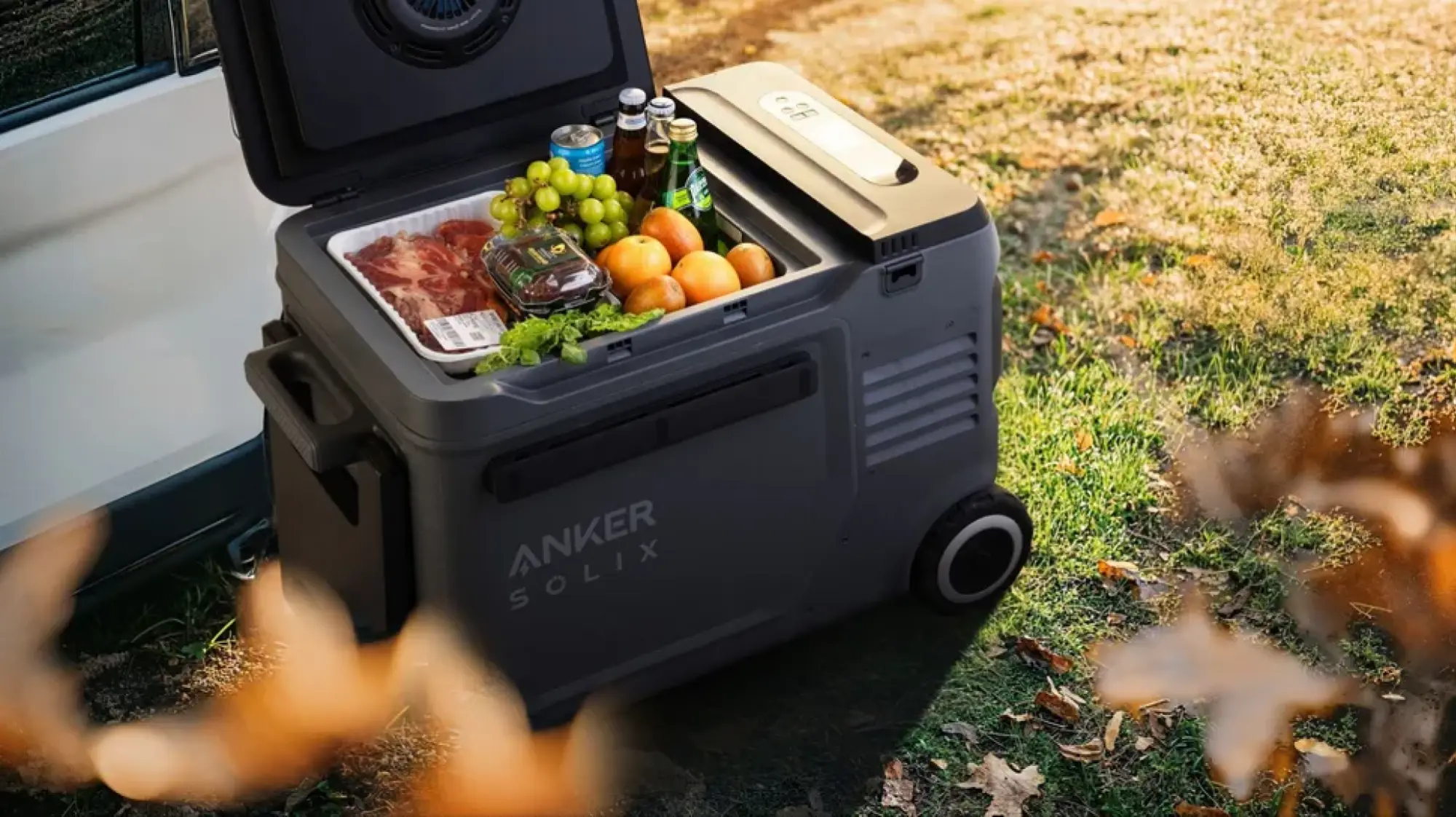 Anker Solix EverFrost Electric Cooler