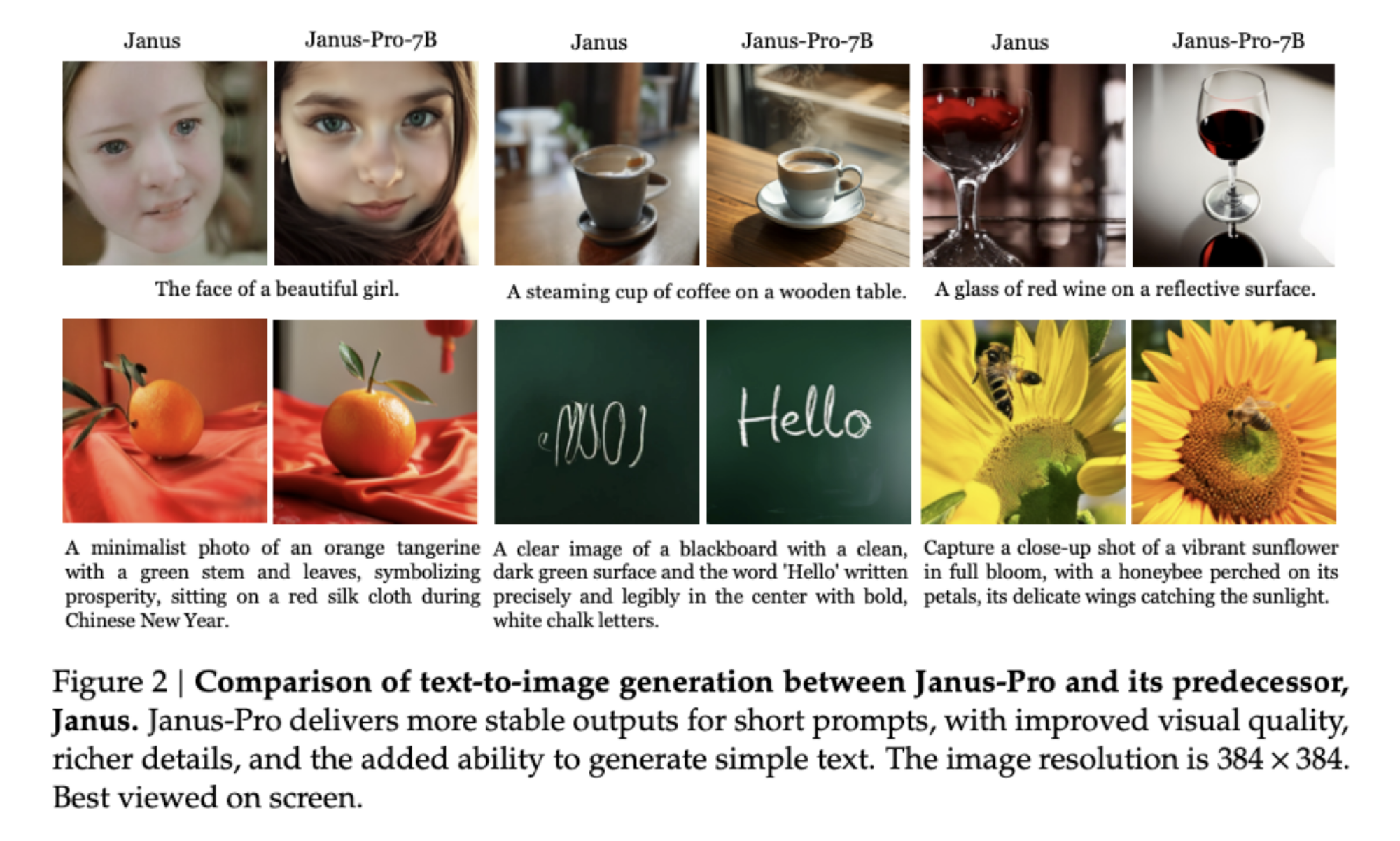 Janus-Pro-7B images