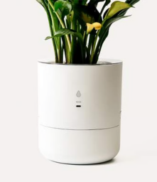 the leafypod planter