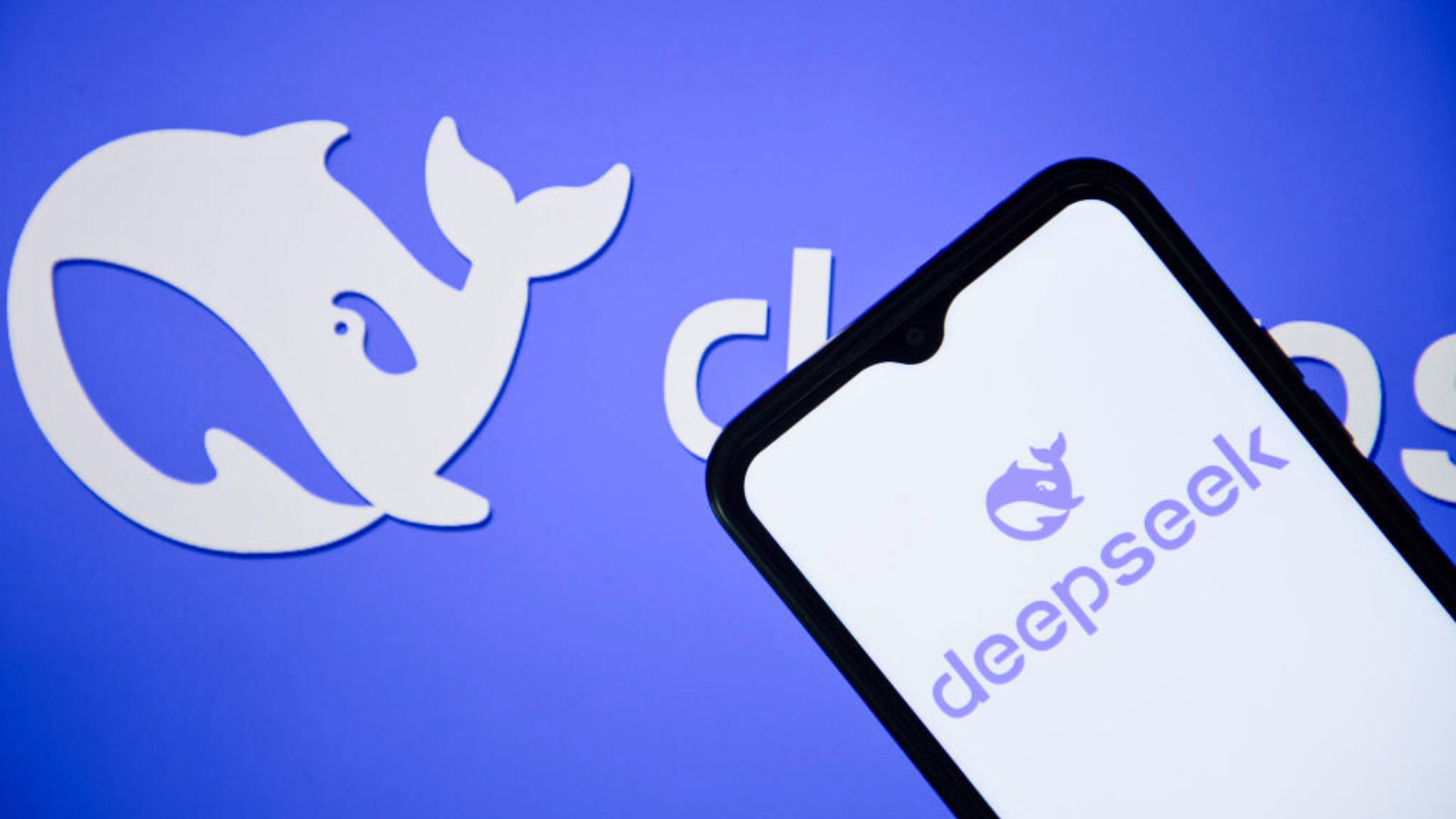 The DeepSeek logo is seen displayed on a mobile phone screen. 